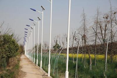 百米“无人区”立起700余盏路灯杆 西安一村子的拆迁博弈与资源浪费之忧