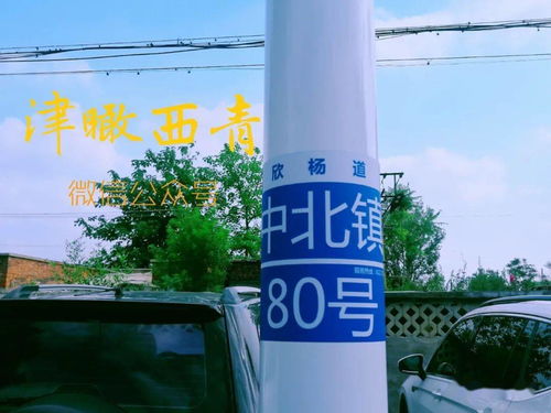 杨柳青道路提升改造工程亮点 《杨柳青欣杨道 柳霞路 京福公路 道路提升改造工程有消息了...... 路灯杆》背后的城建温度